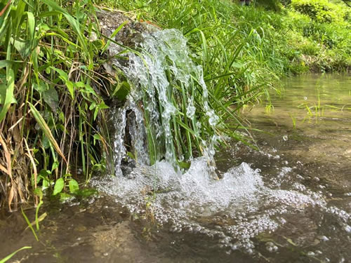 田植えの頃