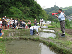 田植えのお手本