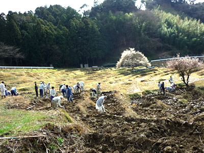 午後の復田作業