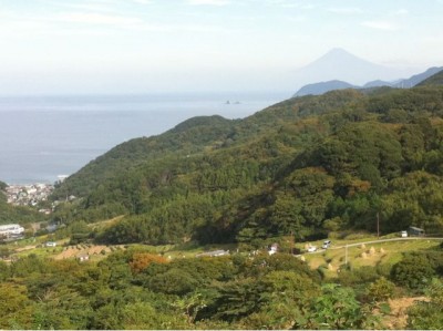 伊豆石部の棚田は絶景！