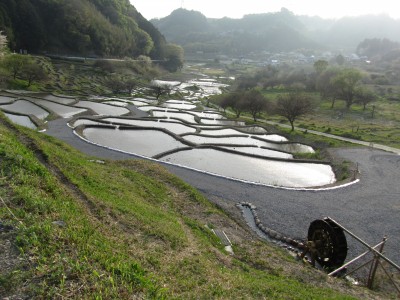 田植え前の棚田風景