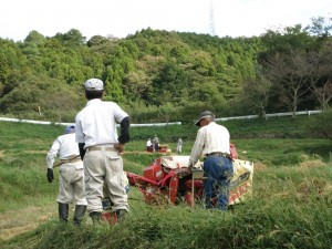 IMG_5944うるち脱穀